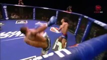 Best and crazy knockouts in MMA history