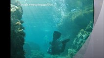 Diving MS Zenobia, Cyprus