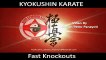 kyokushin karate fast knockouts