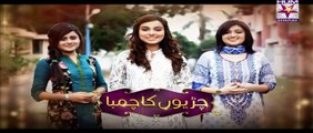 Chirryon Ka Chamba Episode 52 Full Hum Sitaray Drama July 7, 2015