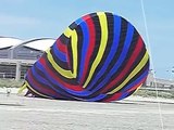 Unusual Kites at the International Kite Festival