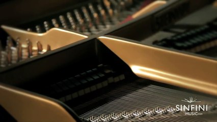 Yundi Li - Schumann Fantasie Op.17 (1st movement)