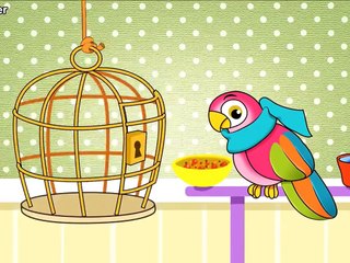 PAPEGAAITJE LEEF JE NOG - KINDERLIEDJES #1 app voor iPad, iPhone en iPod