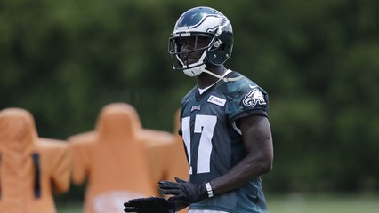 Word on the Birds: Game of True or False