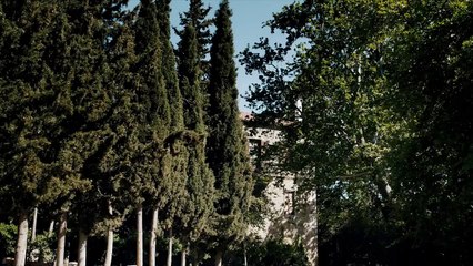 Το Δέντρο και η Κούνια - Συναρπαστικό Θεατρικό Trailer 🌳🎠