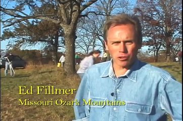 Black Walnut Harvest in the Ozarks