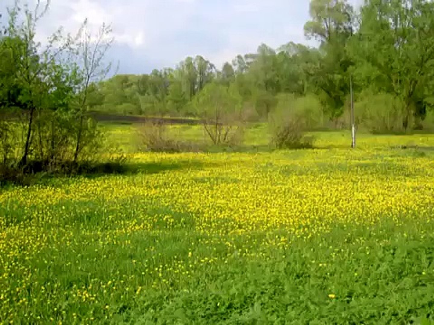 ⁣Україна -- пейзажі