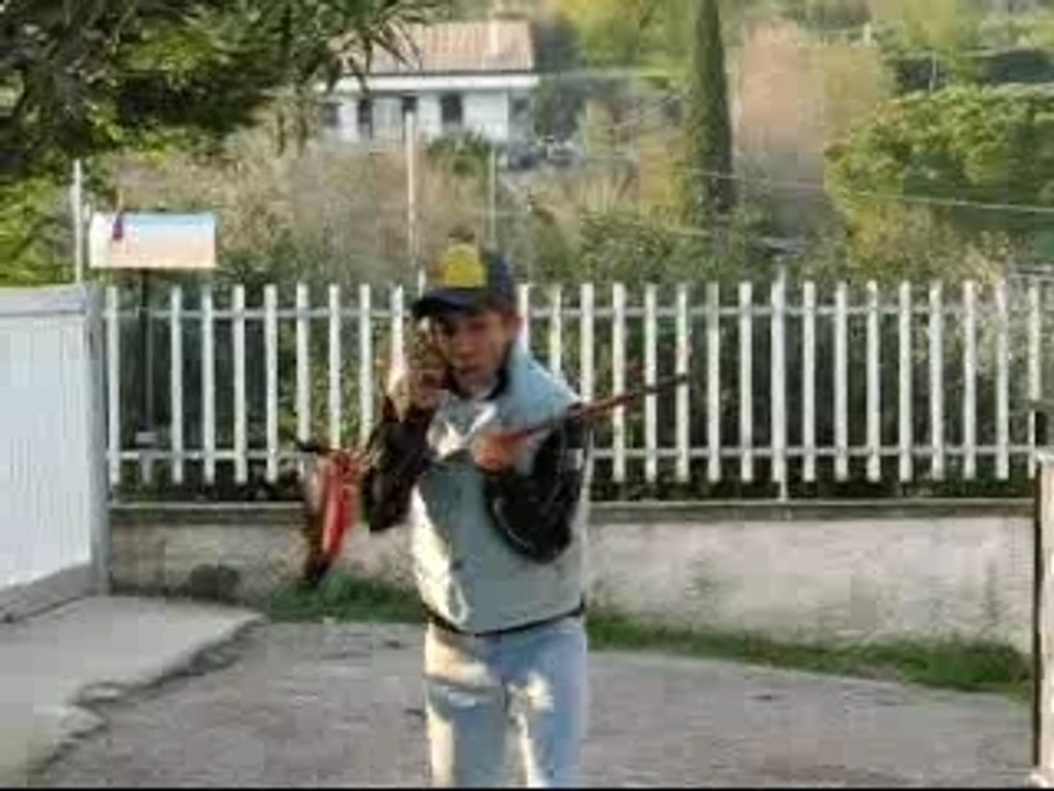 Inseguimento