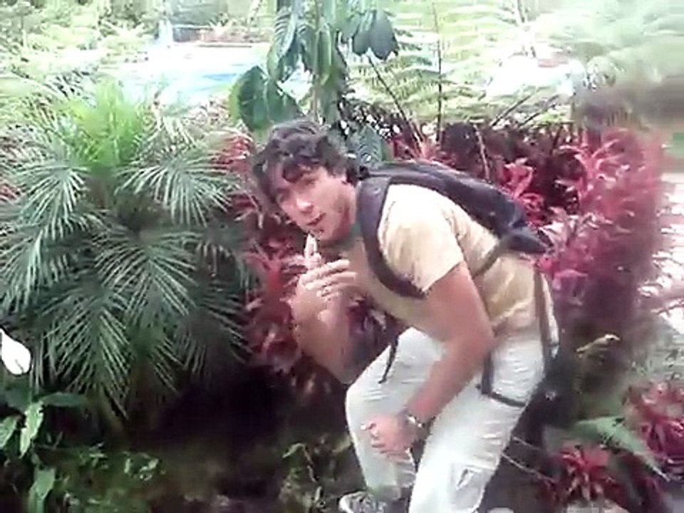 El ataque del mapache