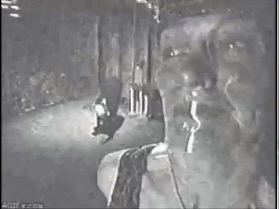 Horrible cette vidéo