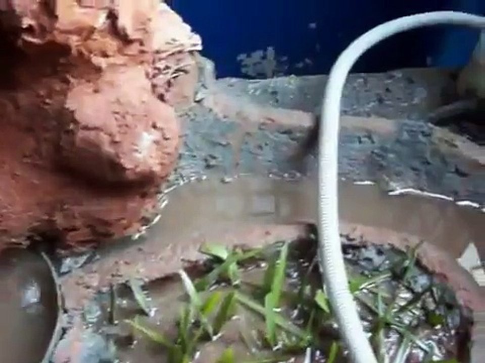 science projects:working model for how to save water by 8th grade