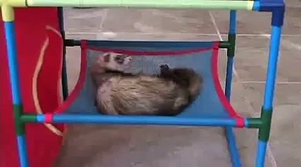 JLo Wiggles Around, Stretches, and Yawns