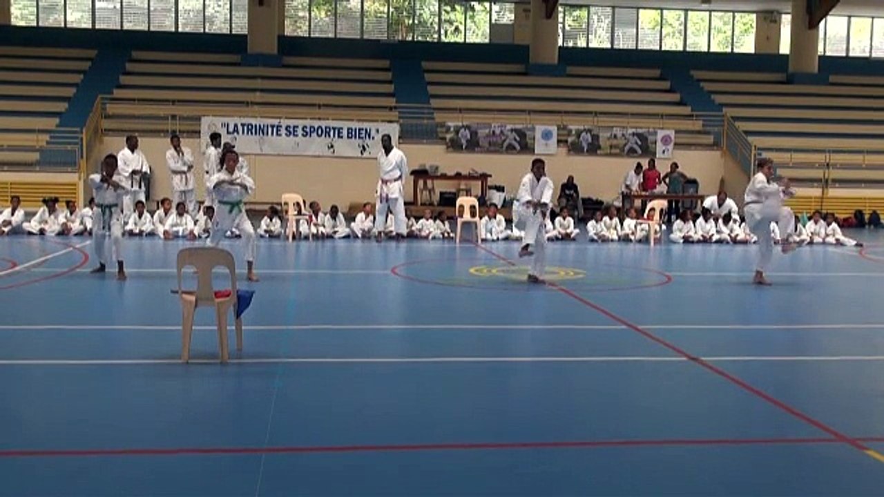 Remise des grades 2015 Karaté Gaetryukaratédo972