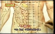 Acupuncture DVD, Chinese Medicine, English Subtitled