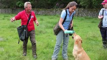 The Kennel Club Retriever Training Day with Mark and Jamie Bettinson