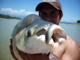 pesca de sabalo y dorado en el cadillal tucuman argentina - fhising sabalo and dorados in argentine
