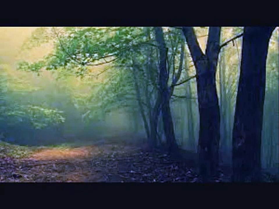 Dark forest  (come little children music box)