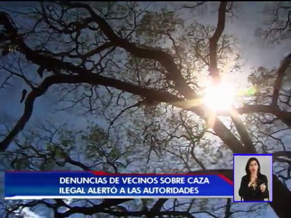 Fuerza Pública detuvo a seis hombres sospechosos de cazar animales en Palo Verde