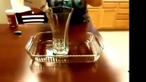 Fun And Amazing Science Experiment For Kids | Kids Science Experiment | Science Project