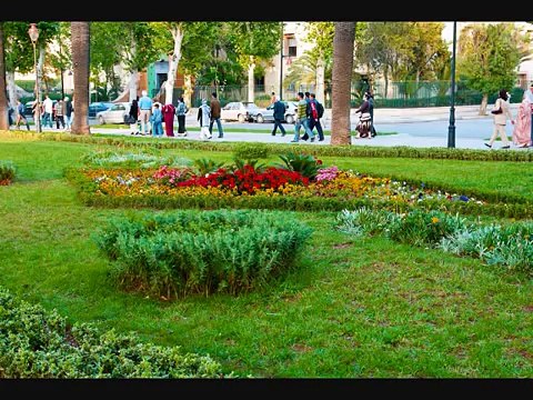 Morocco _ Fes City * المغرب _ مدينة فاس