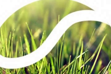 СЕРЕНА ИНТЕРВЬЮ перед матчем с Шараповой WIM. 2015