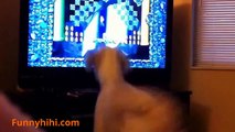 Funny Videos Funny Cats Funny Dogs Funny Dog Videos Funny Cats and Dogs