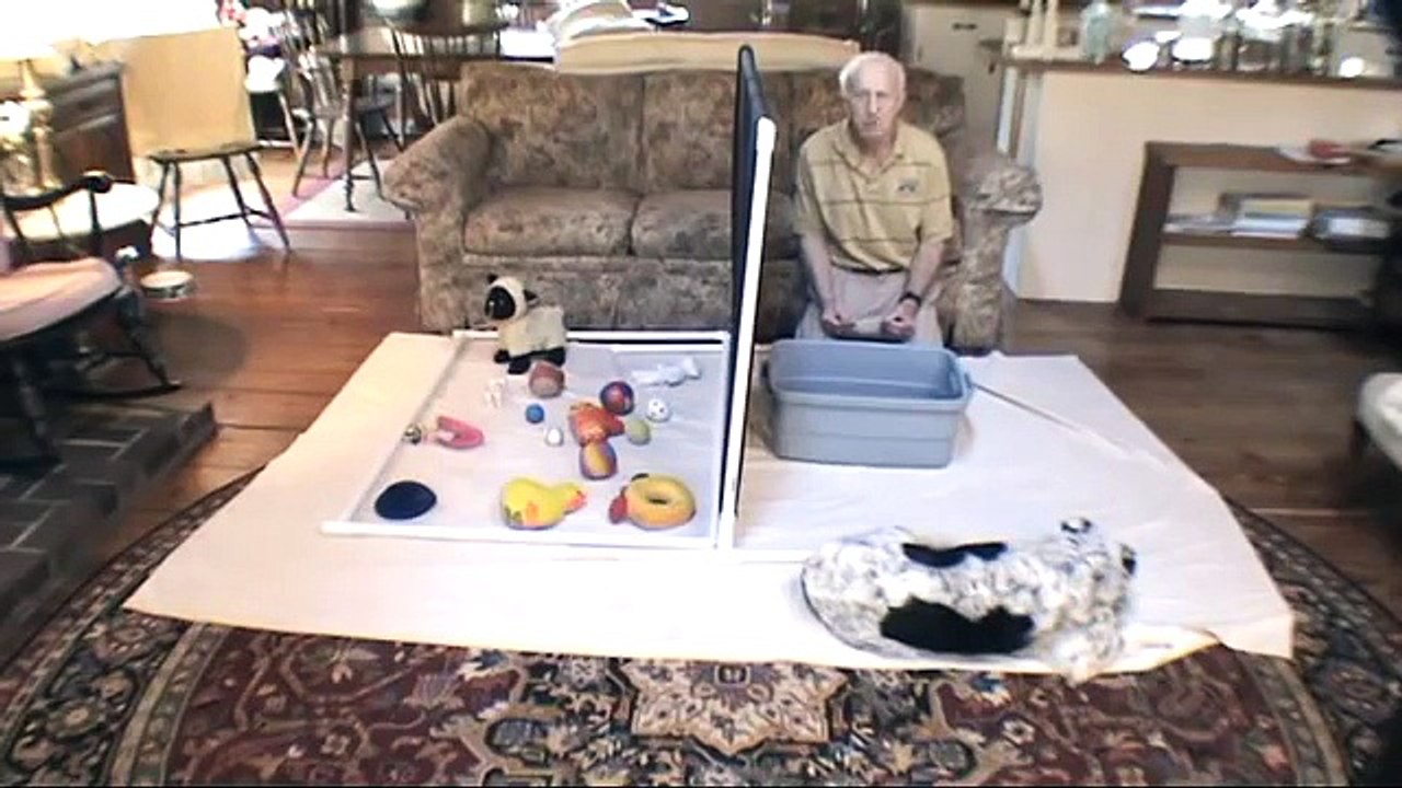 finding objects on the basis of a common noun called ball