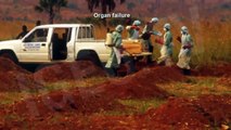 Origin of Ebola Virus / OrÍgenes del Virus Ébola [IGEO.TV]