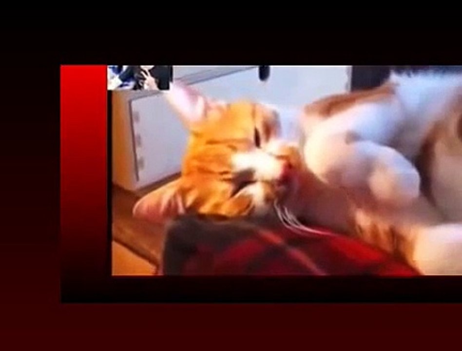 funny funny vines bloopers seksi 2015