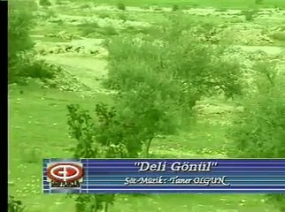 taner olgun deli gönül