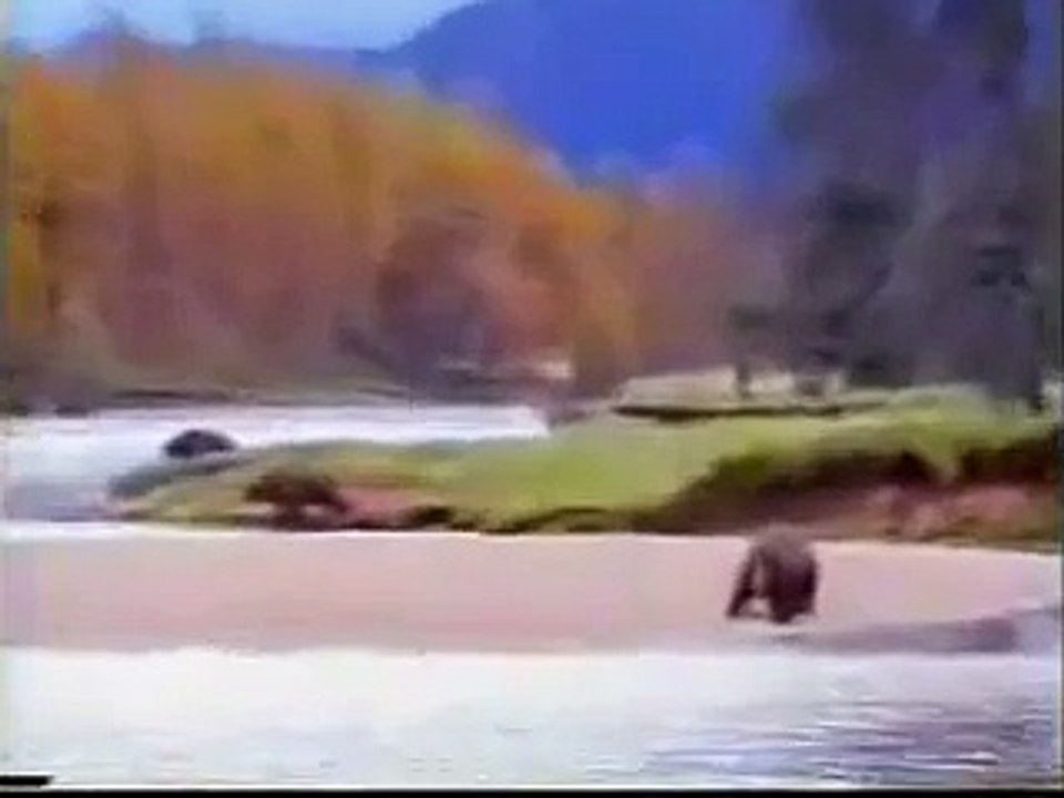 oso