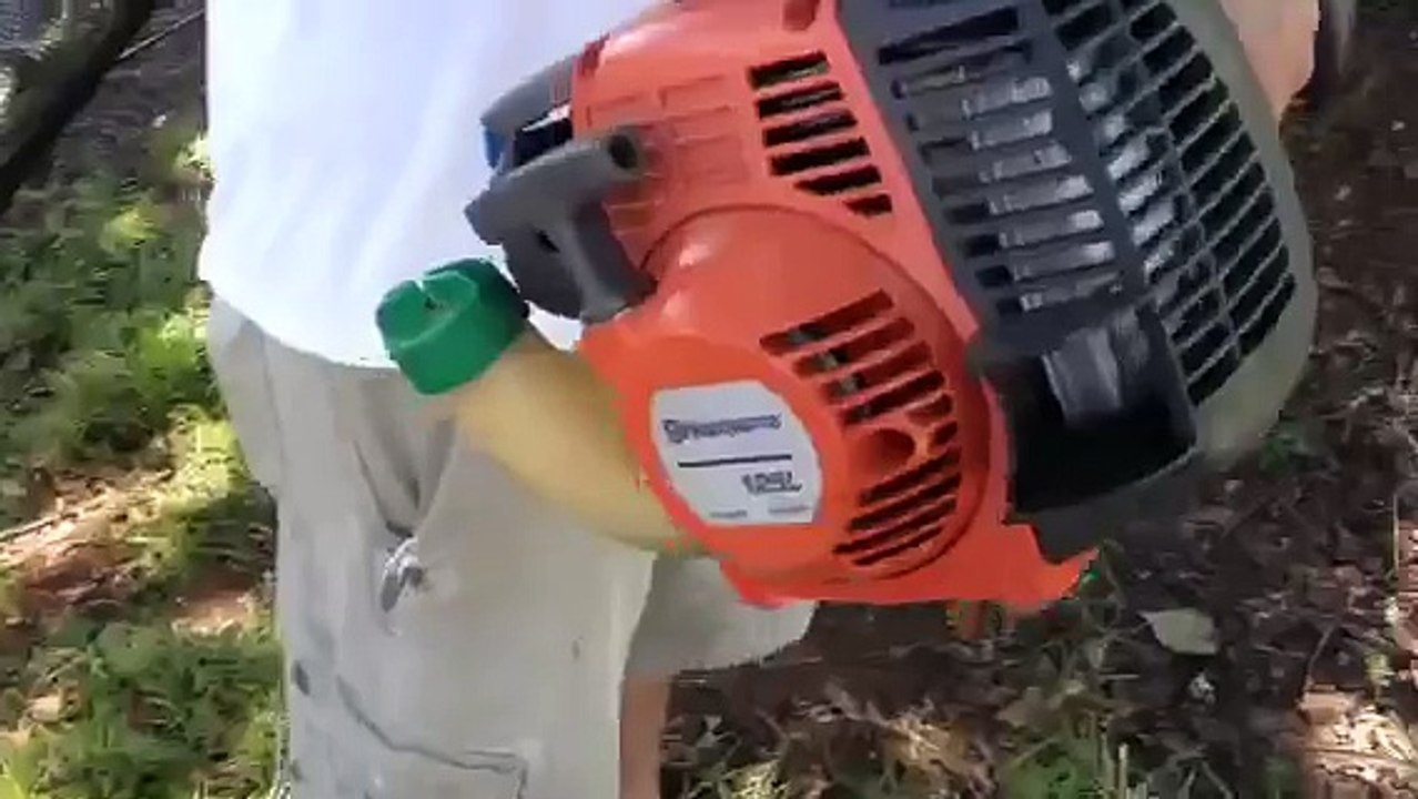 Cut brush with weedeater