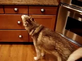 Sophie Throws a Temper Tantrum