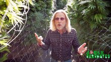35 Outdoor Organic 10lbs Plants with Jorge Cervantes