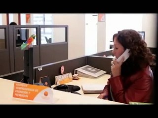 Inducción en Seguridad y salud ocupacional para trabajadores 1/2