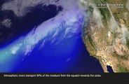 NOAA Atmospheric River Animation