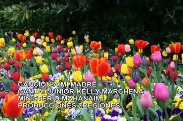 JUNIOR KELLY MARCHENA - CANCION A MI MADRE