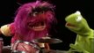 Os Muppets - Caco entrevistando Animal.