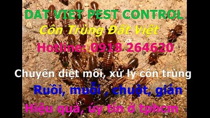 Cong ty diet moi, con trung quan 1 call 0918264620