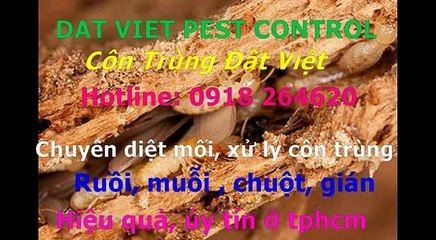 Cong ty diet moi, con trung quan 6 call 0918264620