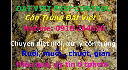 Cong ty diet moi, con trung quan 7 call 0918264620