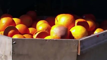 Happy tree friends-the chokes on you