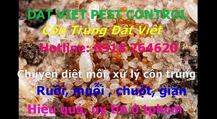 Cong ty diet moi, con trung quan 9 call 0918264620