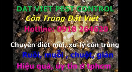 Cong ty diet moi, con trung quan 12 call 0918264620
