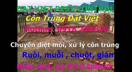Cong ty diet moi, con trung quan tan binh call 0918264620