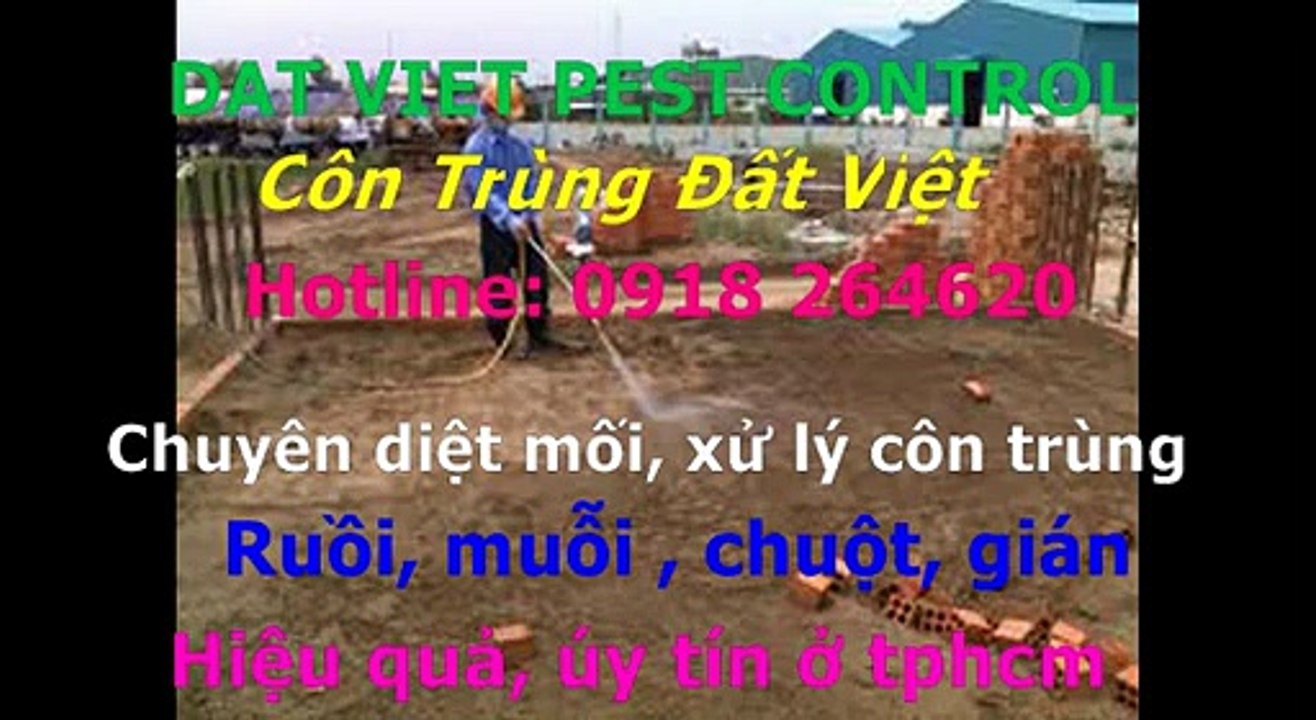 Cong ty diet moi, con trung quan tan binh call 0918264620