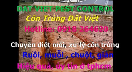 Cong ty diet moi, con trung quan tan phu call 0918264620