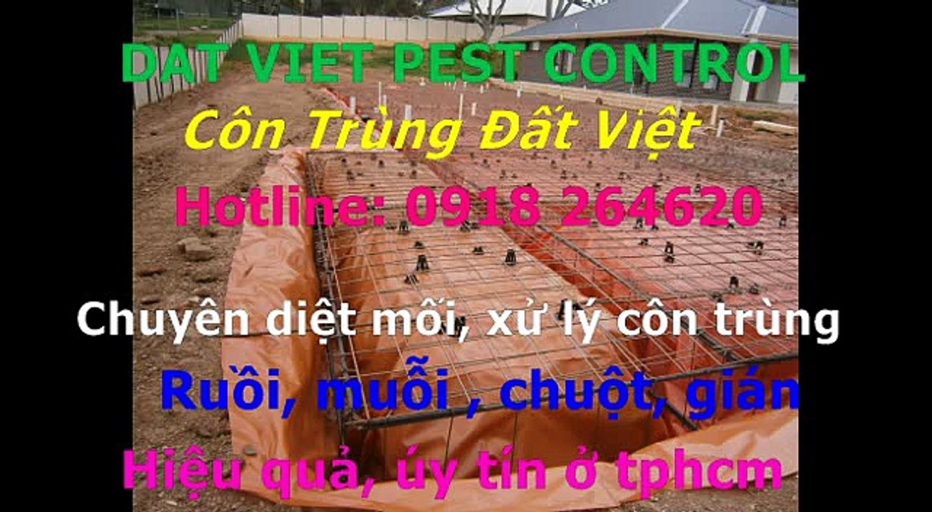 Cong ty diet moi, con trung quan tan phu call 0918264620