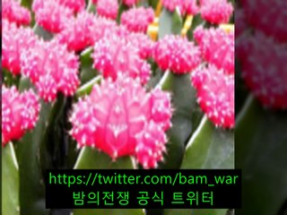 〔밤〕〔의〕〔전〕〔쟁〕특별할인,서초풀싸롱 즐달보증,영통풀사롱 상위19%,부천풀사롱