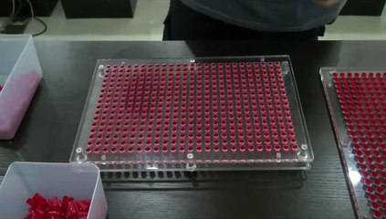 khuôn đóng nang thuốc 400 viên, khuôn làm viên con nhộng 400 viên